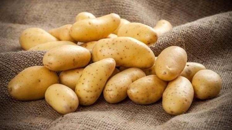 İzmirde patatesin fiyatı yüzde100 artı