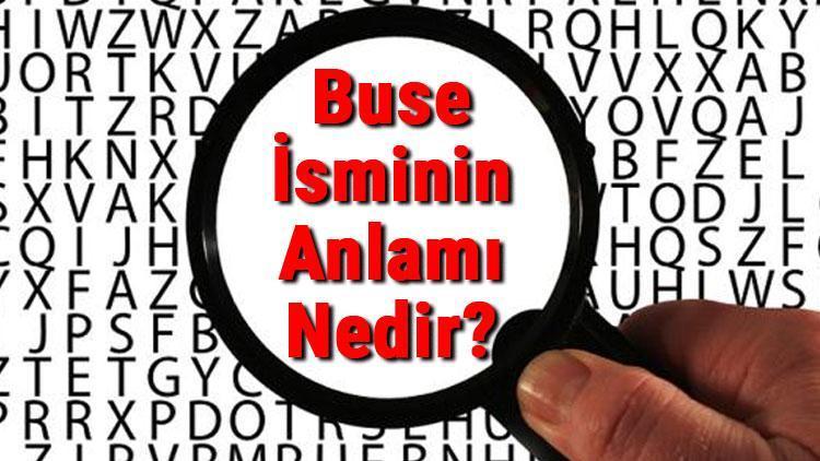 Buse İsminin Anlamı Nedir Buse Ne Demek