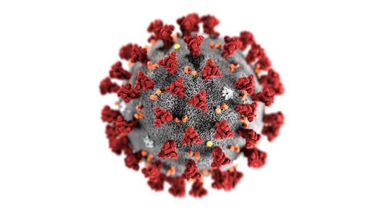 Koronavirüs efsaneleri ve gerçekler