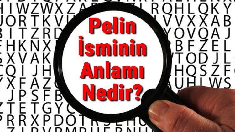 Pelin İsminin Anlamı Nedir? Pelin Ne Demek?