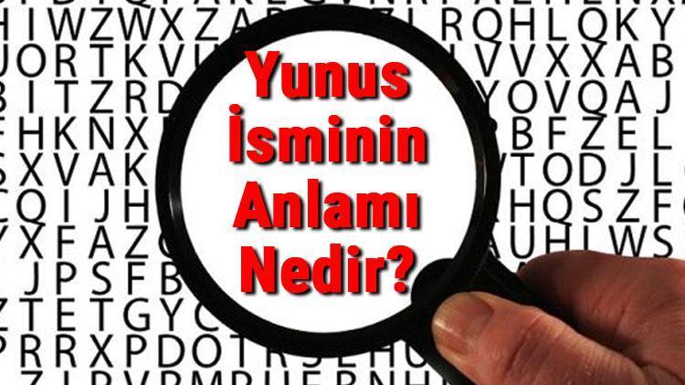 Yunus İsminin Anlamı Nedir? Yunus Ne Demek?