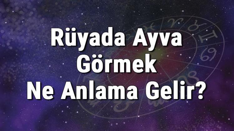 Rüyada Ayva Görmek Ne Anlama Gelir? Rüyada Ayva Yemek Ve Toplamak Anlamı