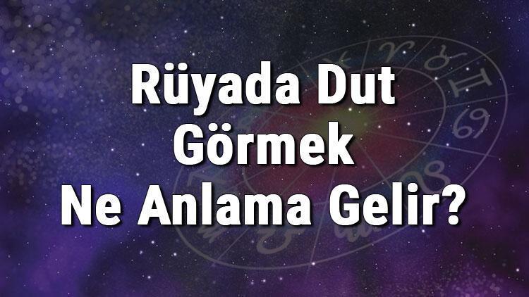 Rüyada Dut Görmek Ne Anlama Gelir Rüyada Dut Yemek Ve Toplamak Anlamı