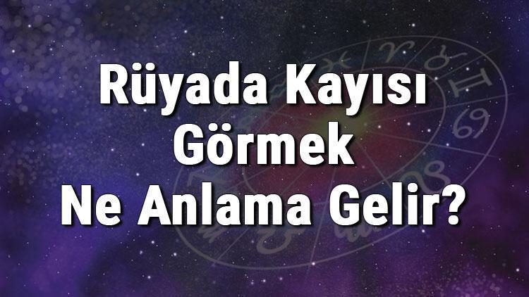 Rüyada Kayısı Görmek Ne Anlama Gelir? Rüyada Kayısı Yemek Ve Toplamak Tabiri