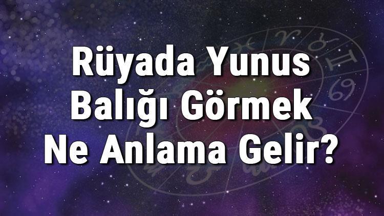 Rüyada Yunus Balığı Görmek Ne Anlama Gelir? Rüyada Yunus Sevmek Ya Da Öldürmek Anlamı