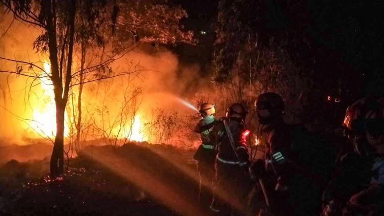 Çinde orman yangını: 19 ölü