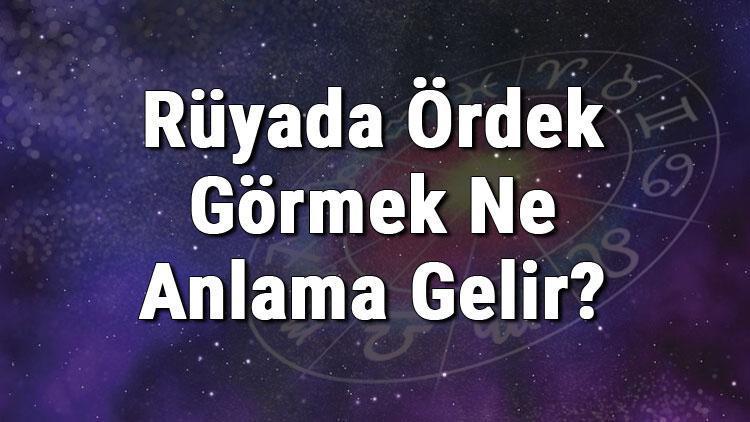 Rüyada Ördek Görmek Ne Anlama Gelir? Rüyada Ördek Yavrusu Görmek Anlamımak Ne Anlama Gelir?