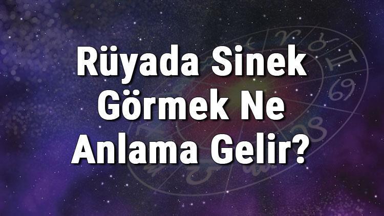 Rüyada Sinek Görmek Ne Anlama Gelir? Rüyada Sinek Öldürmek Ve Yakalamak Anlamı