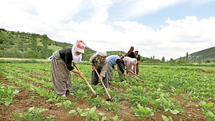 Mevsimlik tarım işçilerine özel önlem talebi