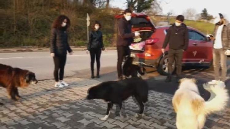 Beykozda aç kalan sokak köpeklerini beslediler