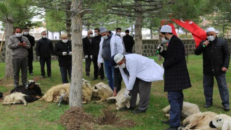 Kayseride koronavirüs salgını için kurban kesildi