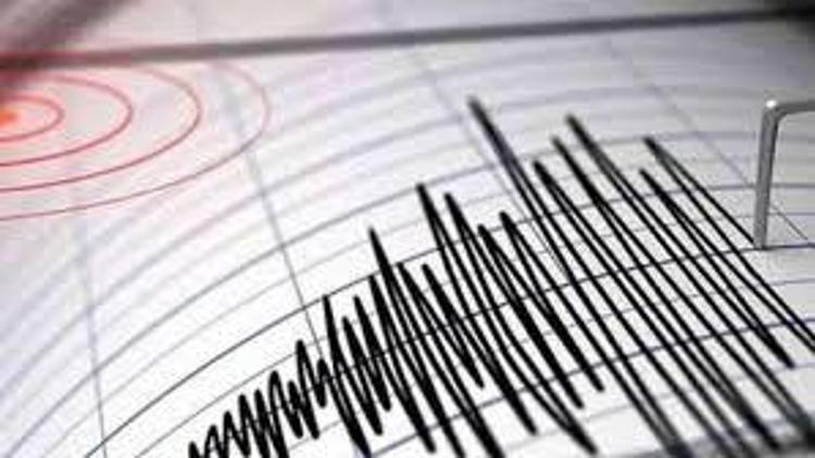 Endonezyada 6,1 büyüklüğünde deprem