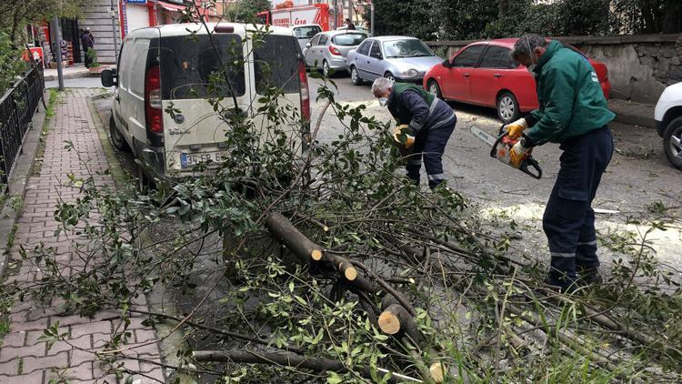 Şişlide şiddetli rüzgarda ağaç otomobilin üzerine devrildi