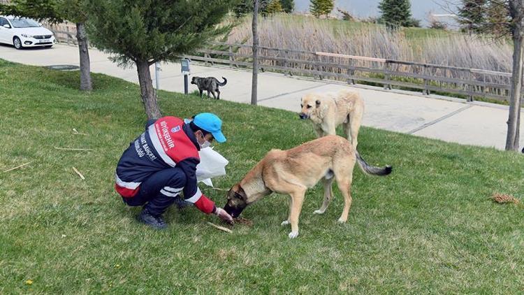 Mama desteği devam ediyor