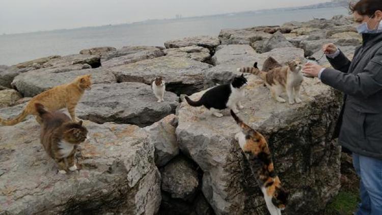 Kadıköy Sahilinde aç kalan hayvanları beslediler