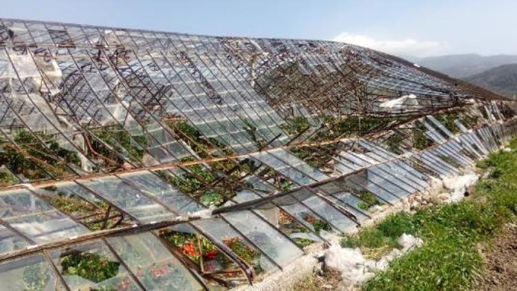 Antalyada şiddetli rüzgarda 400 dönüm sera zarar gördü