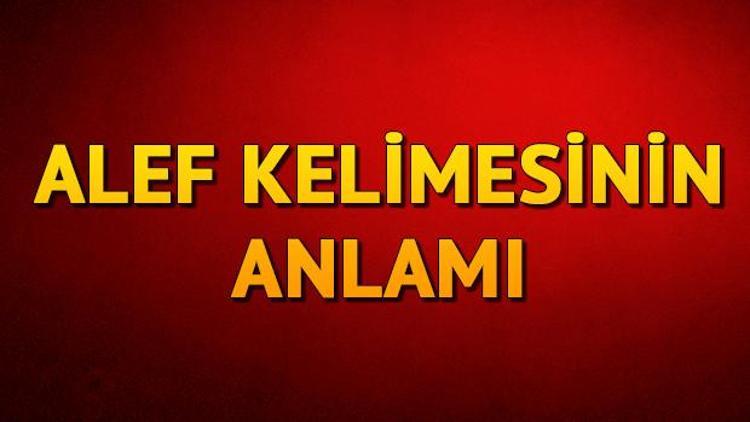 Alef ne demek Alef kelimesinin anlamı nedir