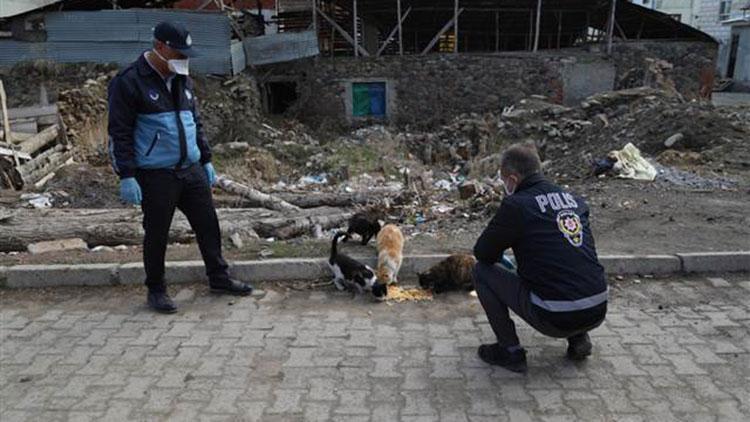 Erzurumda Vefa ekibi, sokak hayvanlarını da unutmadı