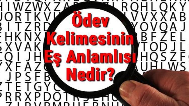 Ödev Kelimesinin Eş Anlamlısı Nedir Ödevin Eş Anlamlısı