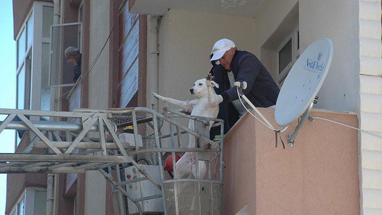 Sokağa çıkma yasağında evde unutulan köpeği itfaiye kurtardı