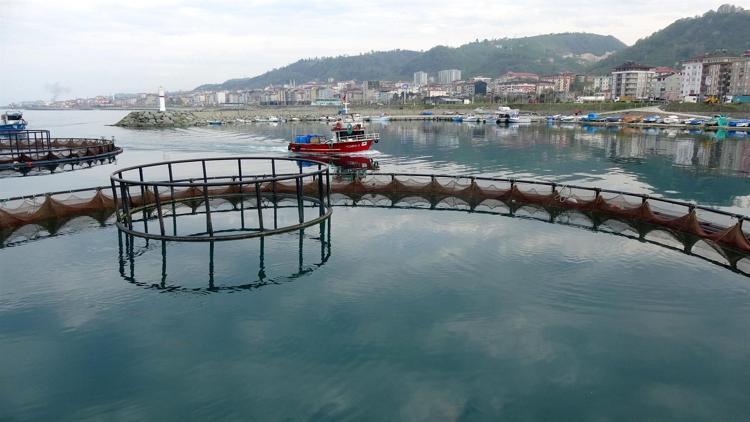 Karadeniz’de av sezonu bitti, kültür balıkçılığına ilgi arttı