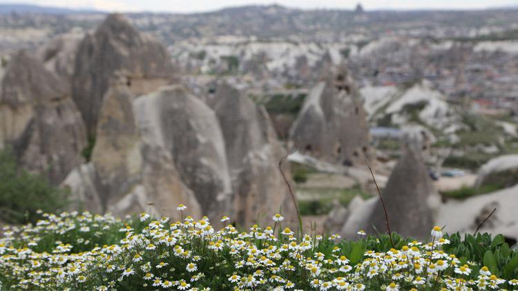 Kapadokyanın ilkbahar manzarası büyülüyor