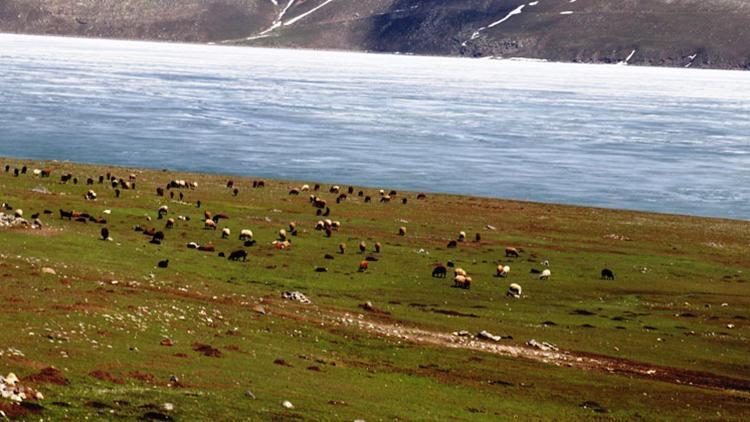 Doğu Anadolunun saklı cenneti Balık Gölünde buzlar eriyor