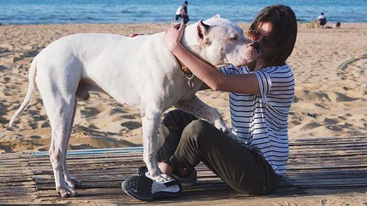 Alina Boz köpeğine böyle veda etti: Huzur içinde uyu pamuk kalplim