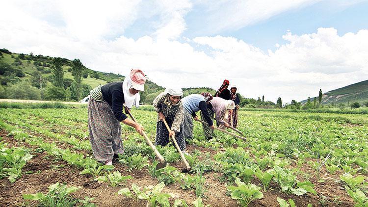 Çiftçiye sanal pazar