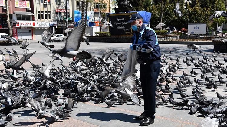 Tekirdağda güvercinleri zabıta besledi