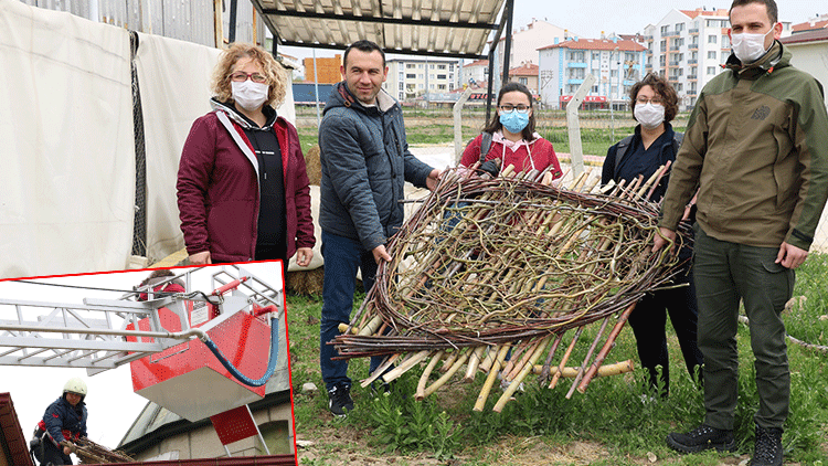 Yuvası yıkılan leylek için yeni yuva yaptılar