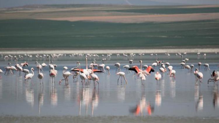 180 kuş türüne ev sahipliği yapan Düden Gölü kurumaya yüz tuttu
