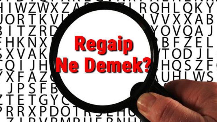 Regaip Ne Demek Regaip Nedir Regaip Tdk Kelime Anlamı