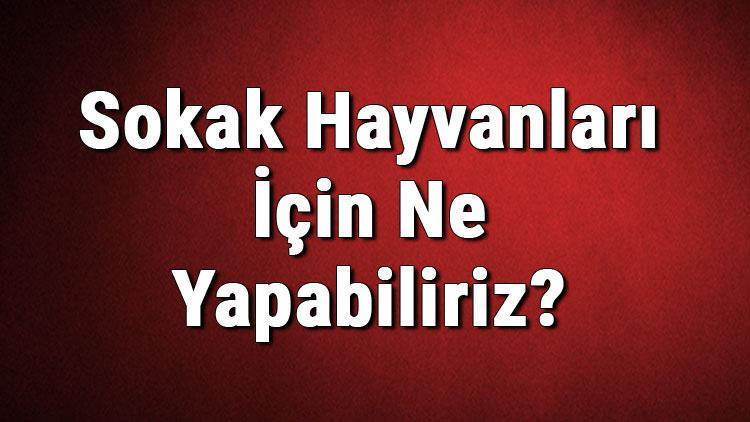 Sokak Hayvanları İçin Ne Yapabiliriz