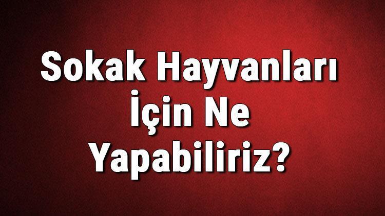 Sokak Hayvanları İçin Ne Yapabiliriz