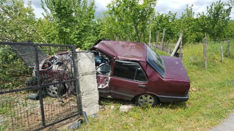 Bahçe tellerini aşıp duvara çarpan otomobilin sürücüsü yaralandı