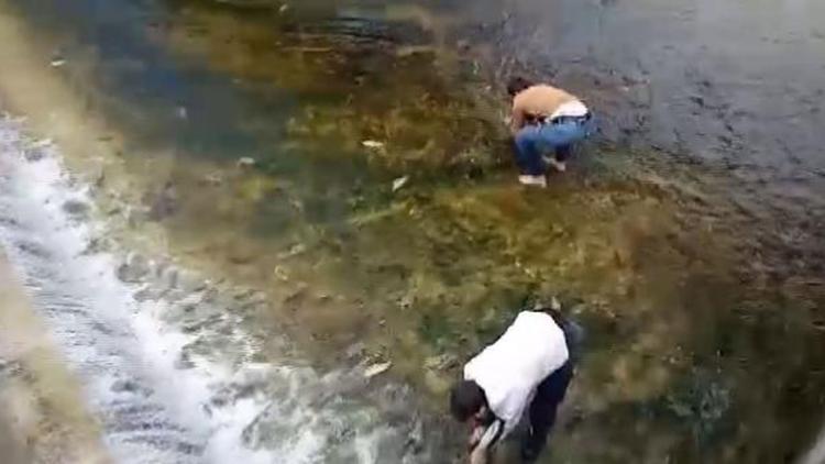 Beyşehir Gölünden kanala sürüklenen balıkları kurtardılar