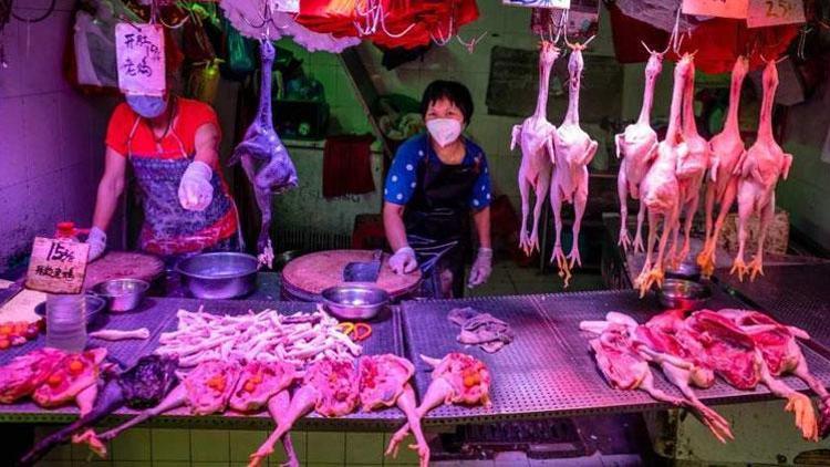 Çinde vahşi hayvan tüketilmeye devam ediliyor