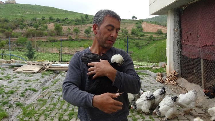 Avlanması yasak kuşları besleyip doğaya salıyor