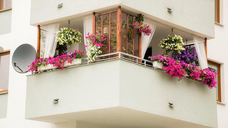 Pencereler, balkonlar ve teraslar çiçek açacak