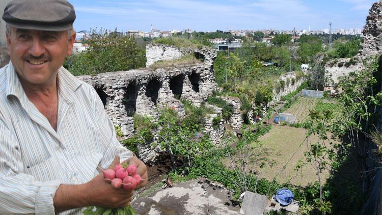 Yedikule Bostanları için yıllarca uğraştı Mirası ‘2 milyon ceza’ oldu…