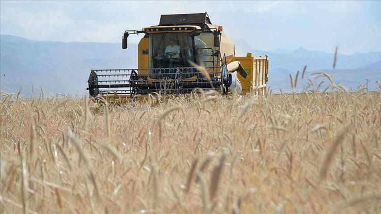 Buğdayda alım fiyatı açıklandı