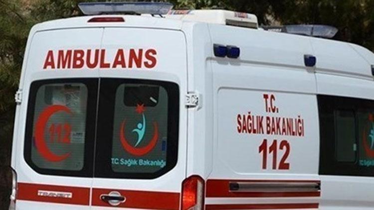 Komşuların köpek kavgası: 2 ölü, 2 yaralı