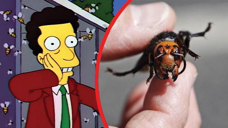 Simpsonlar ABD’deki “Katil arıları da bildi iddiası