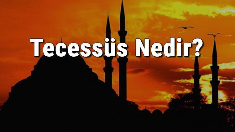 Tecessüs Nedir Tecessüs Etmek Ne Demek Tecessüs Anlamı Ve İlgili Peygamber Hadisleri