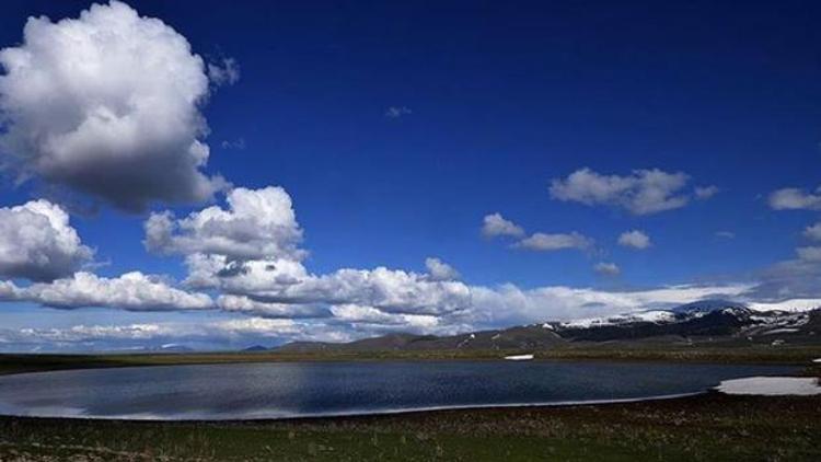 Saklı cennet Asboğa Gölü göçmen kuşlarla şenlendi