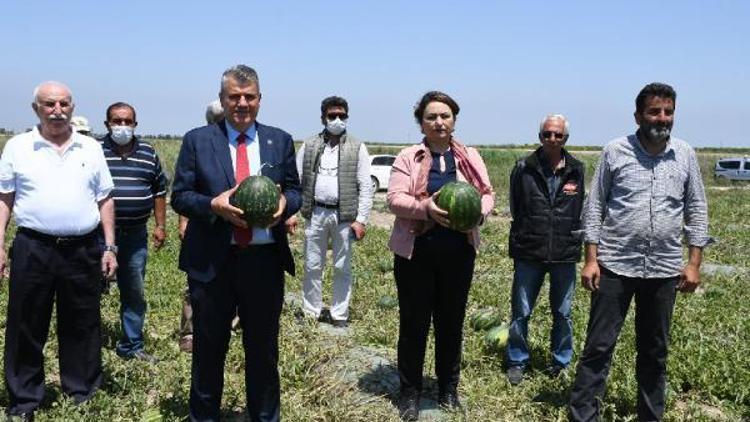 Adanada karpuz hasadına hazırlıklar sürüyor