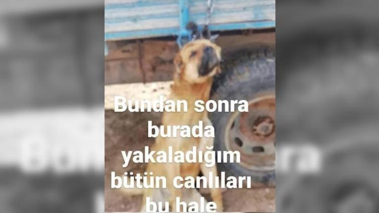 Vicdansız Bu fotoğrafı paylaştı, gözaltına alındı