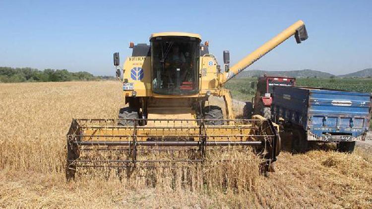 Çukurovanın ilk arpa hasadı, Osmaniyede yapıldı