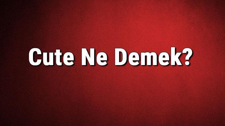 Cute Ne Demek Cute Kelimesinin Türkçe Anlamı Nedir